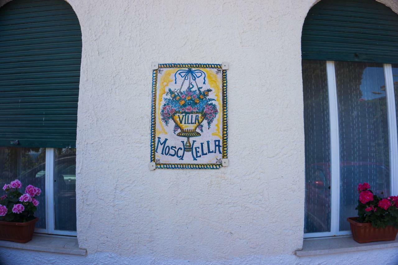 Villa Moschella Ταορμίνα Εξωτερικό φωτογραφία
